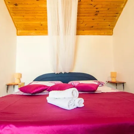 Ivo سبليتسكا